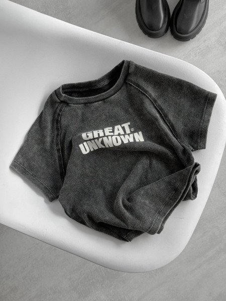 REMERA GREAT UNKNOW